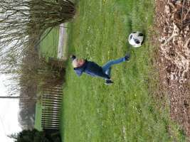 louis
